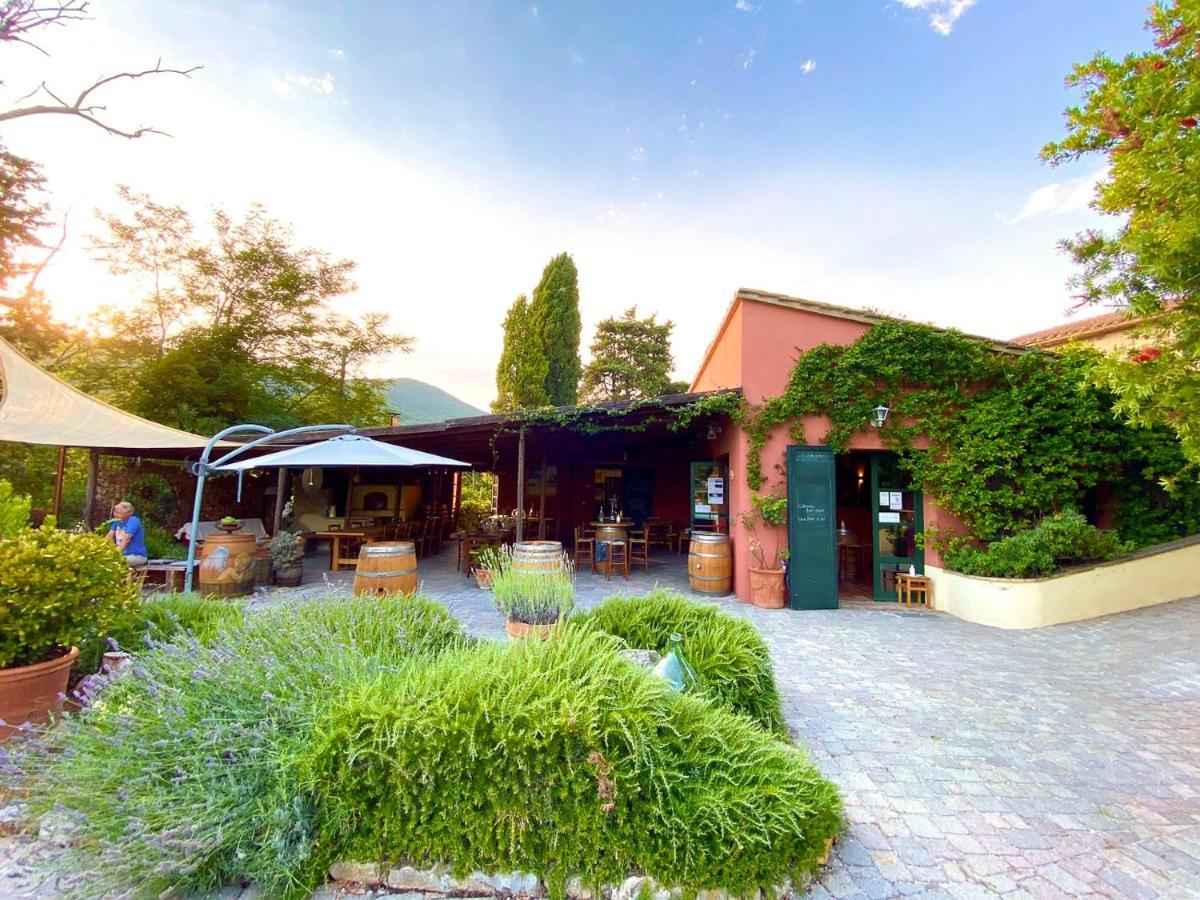 Agriturismo Terenzana Apart otel Riparbella Dış mekan fotoğraf